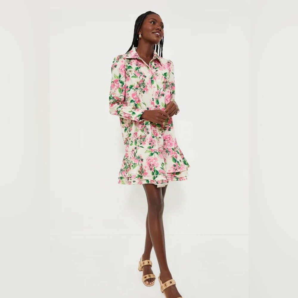 Tuckernuck Pink and Green Floral Long Sleeve Dress